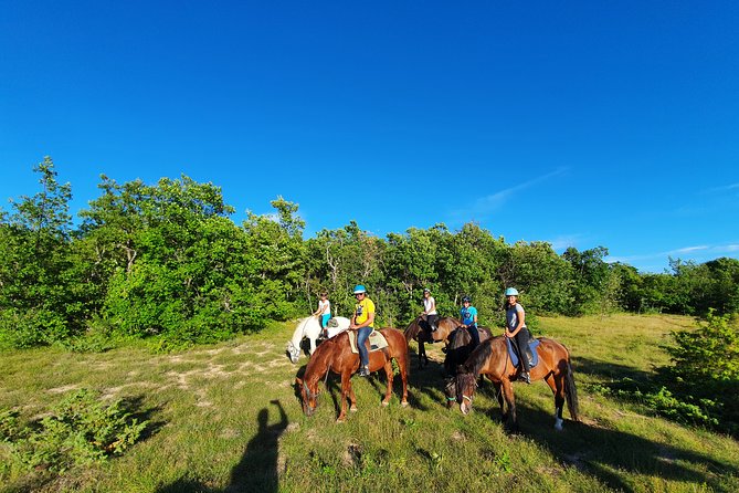 Horse ride in Haute Provence Luberon and Forcalquier - Why six riders is a useful limit