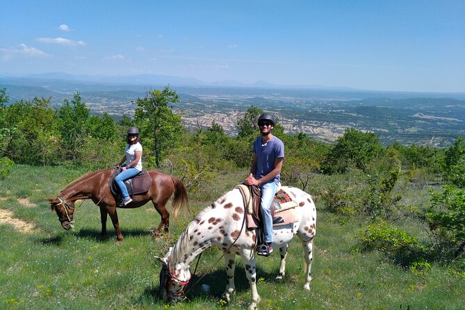Horse ride in Haute Provence Luberon and Forcalquier - Riding above Forcalquier and toward the Luberon