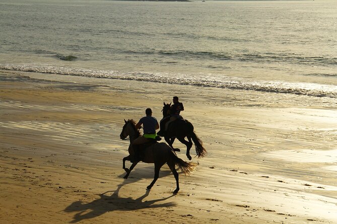 Horse Ride in Taghazout or Agadir - Key points to know before you book