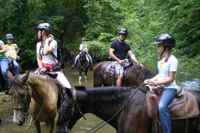 Horse Ride in Taghazout or Agadir - Why Taghazout is a good place to ride