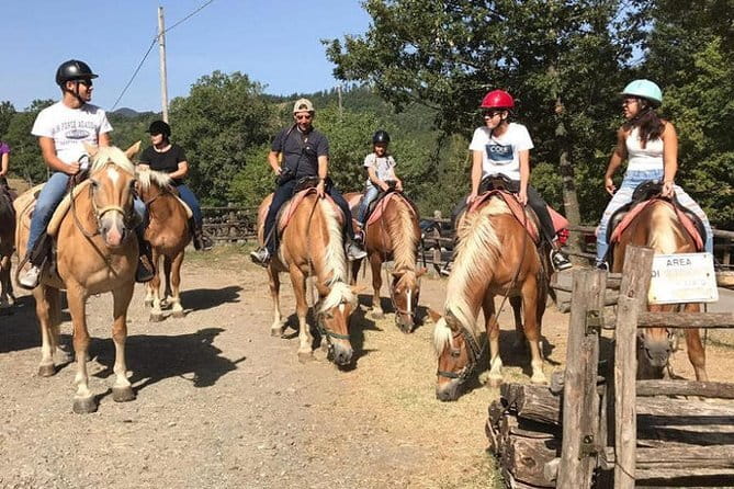 Horse ride in the Mugello (transfer from / to Florence) and Tuscan aperitif - Barberino di Mugello and the quiet side of Tuscany