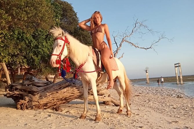 Horse Ride On The Beach Gili Islands - Key points to know before you book