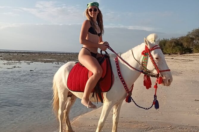 Horse Ride On The Beach Gili Islands - Choosing between a gentle walk and faster riding
