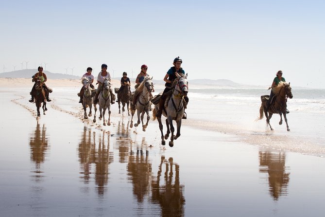 Horse Ride on the Beach in Essaouira - Key points before you book