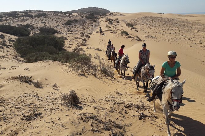 Horse Ride on the Beach in Essaouira - Private riding at $40.71 per person
