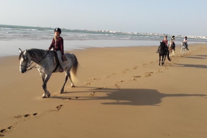 Horse Ride on the Beach in Essaouira - Who will enjoy this most