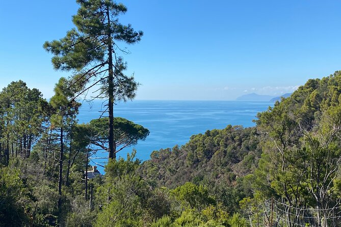 Horse ride on the coast of Monterosso al Mare Cinque Terre - Timing, Heat, and Weather Matter