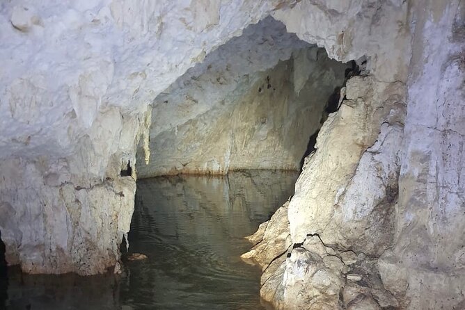Horse Ride to Cenote Mil Columnas - What the five-star feedback tells you