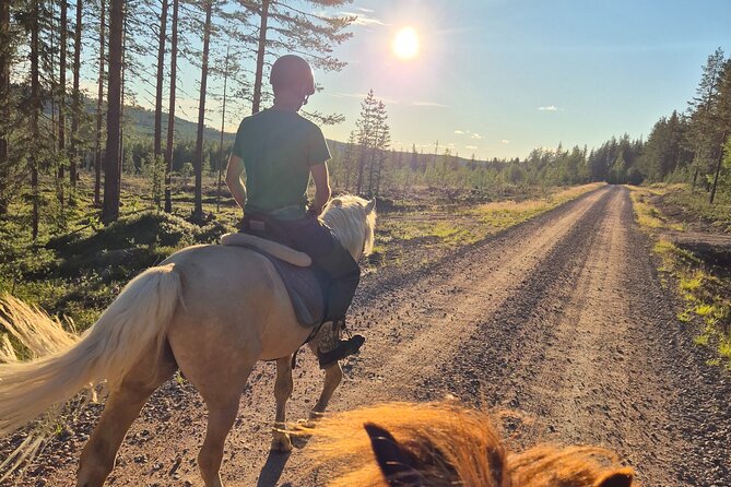 Horse Ride to the Hill Activity - Key points at a glance