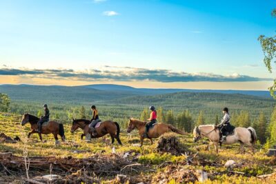 Horse Ride to the Hill Activity