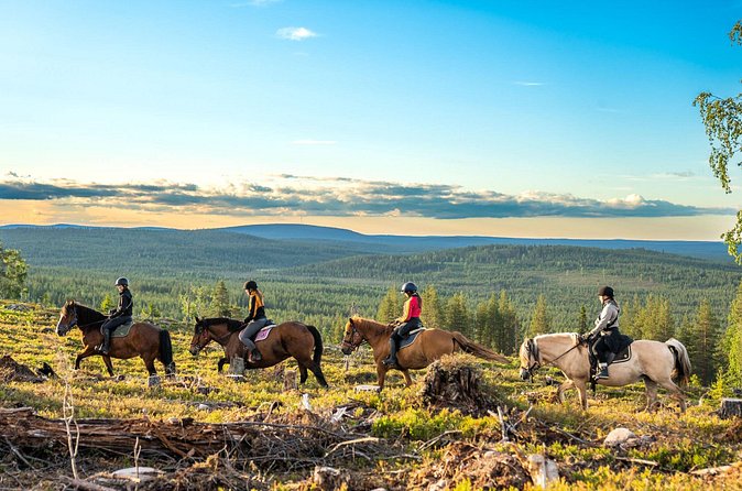 Horse Ride to the Hill Activity - Seasonal details and the feel of the ranch