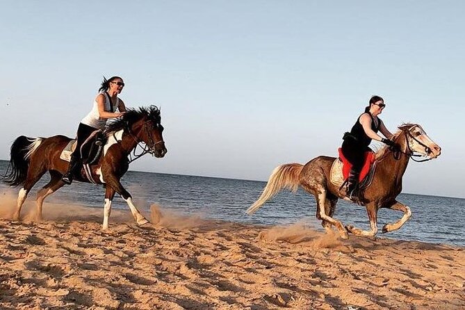 Horse Ride Trip , Bedouin Dinner And Show - Sharm El Sheikh - What the ride may feel like for a beginner