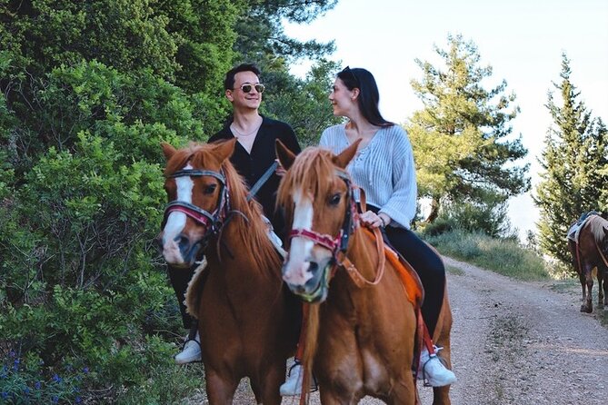 Horse Ride with Mountain Views - What the two-hour riding stop offers
