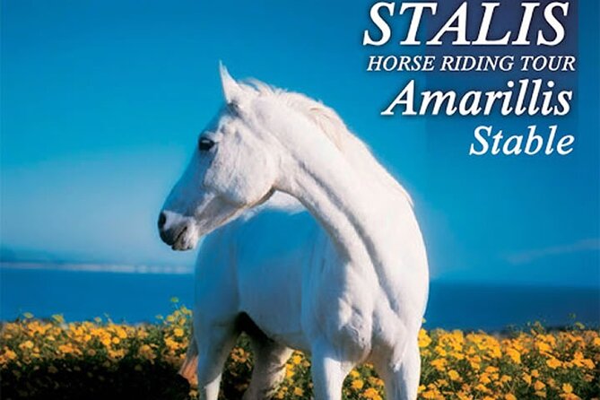 HORSE RIDING 1.5 hours mountains from area Hersonissos CRETE - Key points before you book