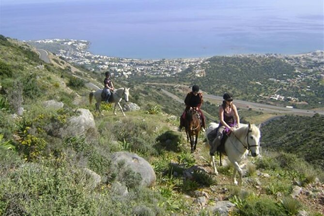 HORSE RIDING 1.5 hours mountains from area Hersonissos CRETE - Starting at the family-run stable