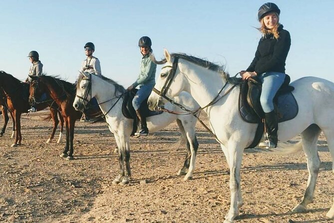Horse Riding 1-Hour Adventure Trip With Transfer - Hurghada - Quick facts about the ride