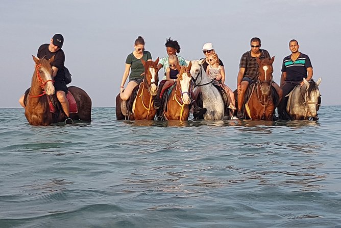 Horse Riding 3 Hours Beach, Desert, & Swimming By Horse in red sea - Hurghada - Three hours, three settings, one unusual Hurghada outing