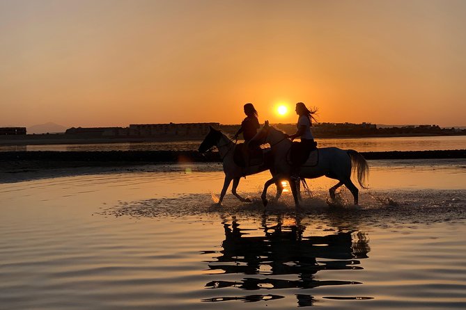 Horse Riding 3 Hours Beach, Desert, & Swimming By Horse in red sea - Hurghada - Starting in the desert, where the ride finds its rhythm