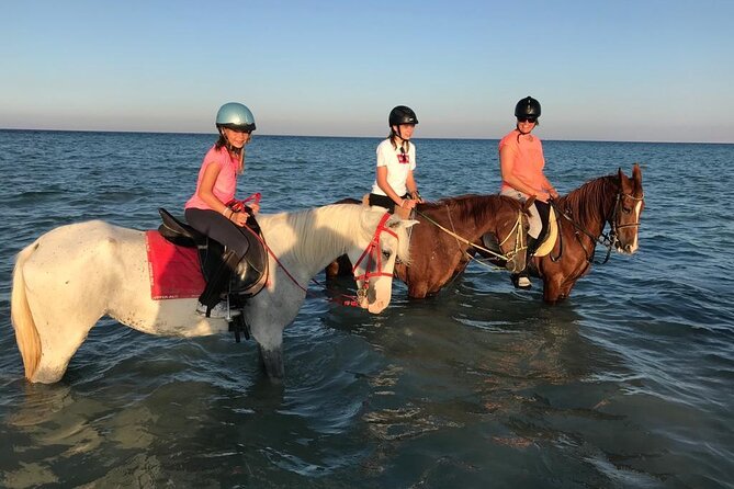 Horse Riding 3 Hours Desert Beach Swimming by horse in Hurghada - Following the beach toward the Red Sea