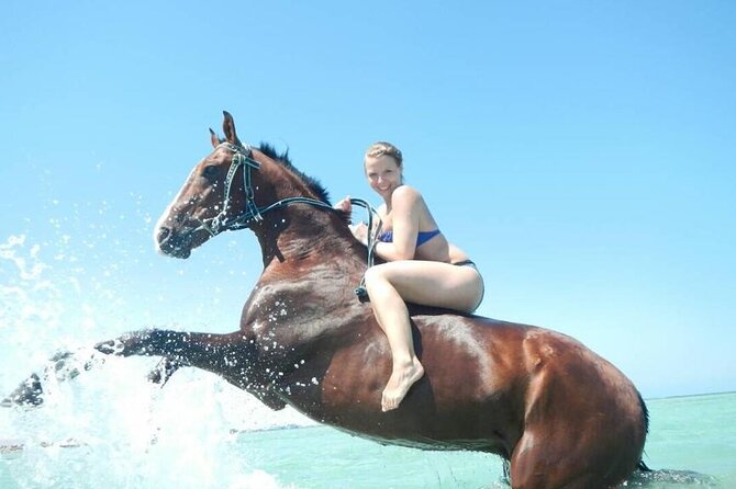 Horse Riding 3 Hours Desert Beach Swimming by horse in Hurghada - Riding across Hurghada’s desert
