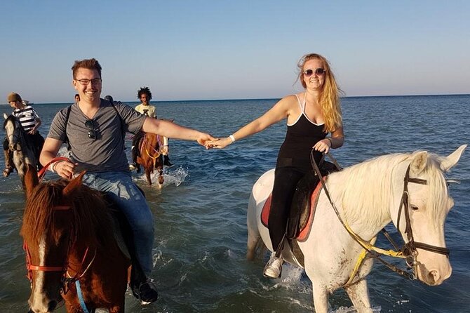 Horse Riding Adventure 2 hours sea and Desert - Hurghada - Key points to know before you book