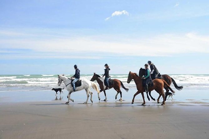 Horse Riding Adventure 2 hours sea and Desert - Hurghada - Hotel pickup and the ride to the stable