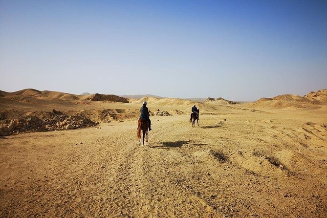 Horse Riding Adventure 2 hours sea and Desert - Hurghada - Riding across the Hurghada desert