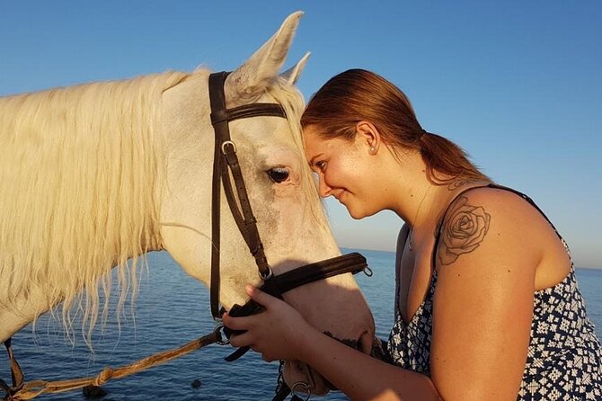 Horse Riding Adventure 2 hours sea and Desert - Hurghada - The Red Sea section and the biggest timing question