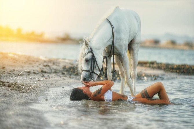 Horse Riding Adventure 2 hours sea and Desert - Hurghada - Sunset views and the photo factor