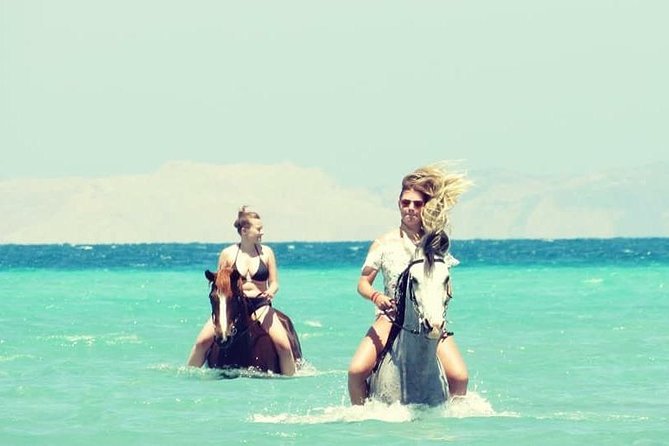 Horse Riding Adventure 2 hours sea and Desert - Hurghada - What the $26 price really includes