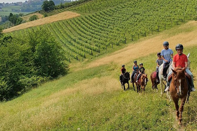Horse Riding Adventure in Langhe: Piemonte's Scenic Vineyards - Key points to know before you book