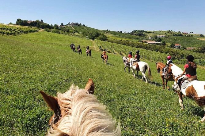 Horse Riding Adventure in Langhe: Piemonte's Scenic Vineyards - Starting from San Marzano Oliveto