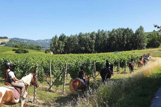 Horse Riding Adventure in Langhe: Piemonte's Scenic Vineyards - What the one-hour ride feels like