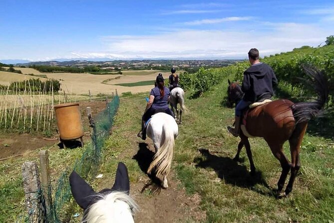 Horse Riding Adventure in Langhe: Piemonte's Scenic Vineyards - Why the two-hour option may be worth it