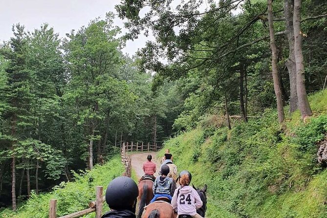 Horse Riding Adventure in Langhe: Piemonte's Scenic Vineyards - Horses, equipment, and beginner support