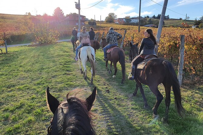 Horse Riding Adventure in Langhe: Piemonte's Scenic Vineyards - Weather can change the experience