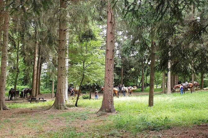 Horse Riding Adventure in Langhe: Piemonte's Scenic Vineyards - Who will enjoy this experience most