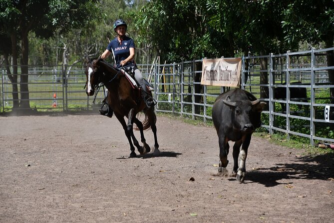 Horse Riding Adventure in the Outback - Meeting the Australian stock horses
