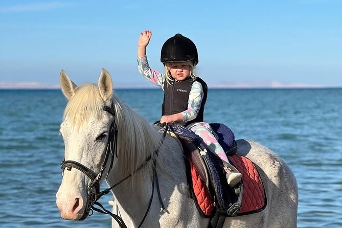 Horse riding Adventure on the Sea with Transfer in Hurghada - Key points at a glance