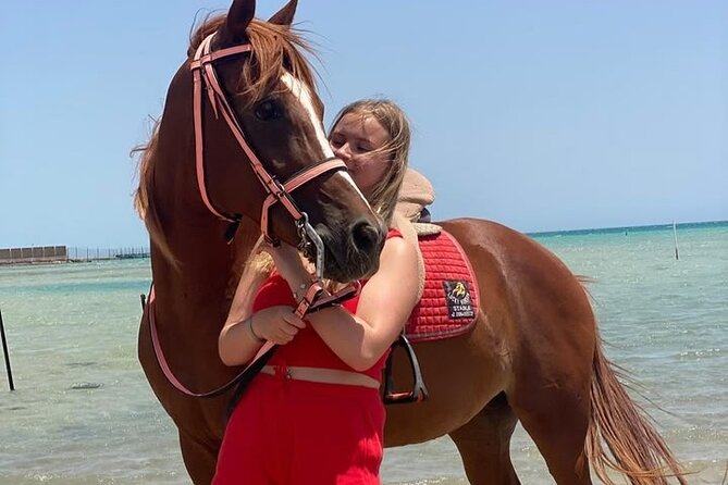 Horse riding Adventure on the Sea with Transfer in Hurghada - Crossing the desert and open ground