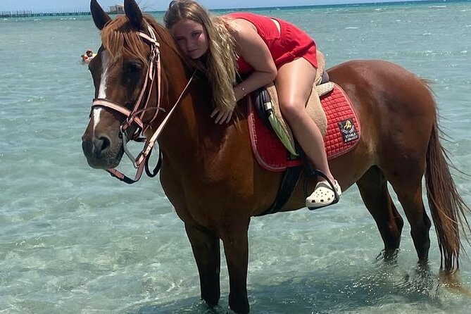 Horse riding Adventure on the Sea with Transfer in Hurghada - The $10 price and extra EUR 10 fee