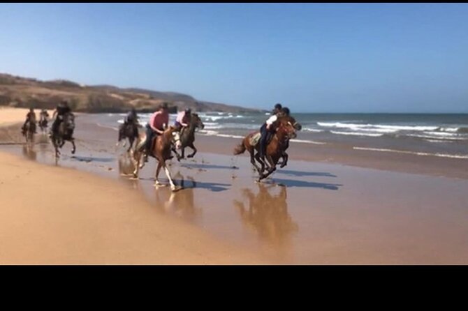 Horse Riding Agadir - Matching the Ride to Your Ability