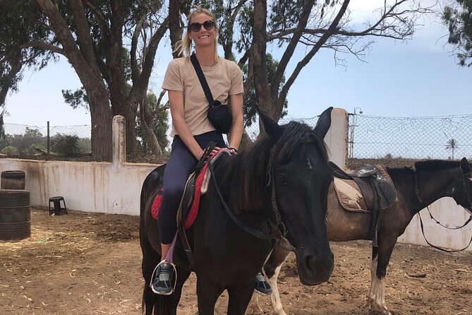 Horse Riding Agadir - Horses, Guides, and Safety
