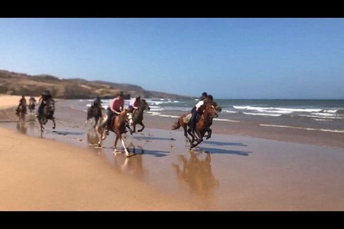 Horse Riding Agadir - What You Get for $34.88