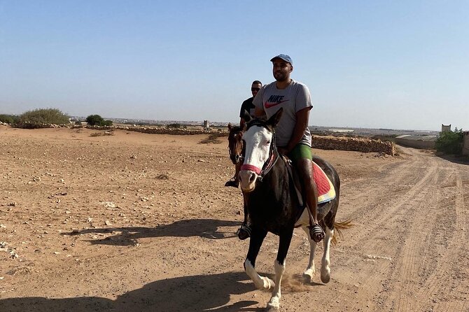 Horse Riding Agadir - Pickup, Timing, and Weather