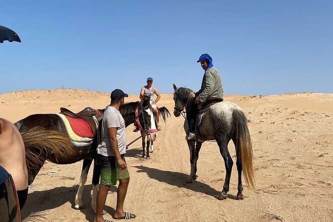 Horse Riding Agadir - Who Will Enjoy This Horse Ride Most?