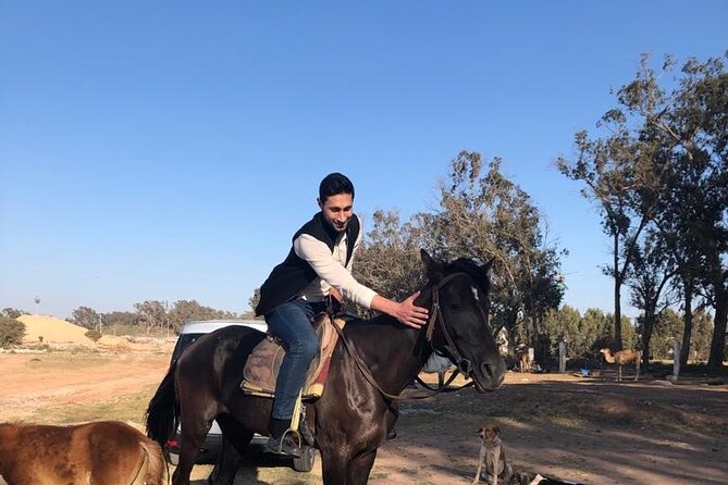 Horse Riding Agadir - Along the Souss Massa River