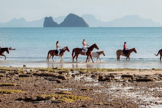 Horse Riding and Beach Trails on Koh Samui - What this Koh Samui horse ride is really like