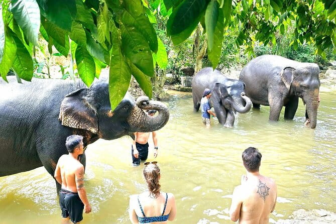 Horse Riding and Beach Trails on Koh Samui - The optional ride into the sea