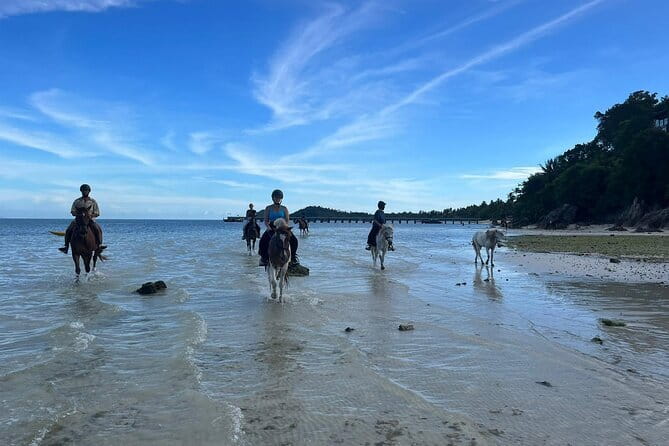 Horse Riding and Beach Trails on Koh Samui - Is $81.38 a fair price?
